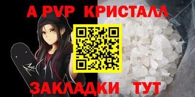 Альфа ПВП Новозыбков