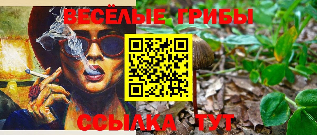 Галлюциногенные грибы Magic Shrooms  Галлюциногенные грибы мицелий  купить наркоту  Вход с VPN  Сафоново 